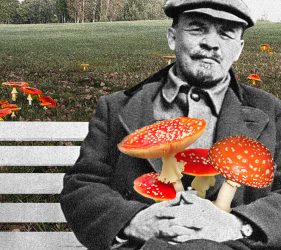 Leninas ir musmirės
